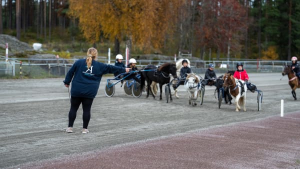 Foto: Thomas Blomqvist/TR BILD