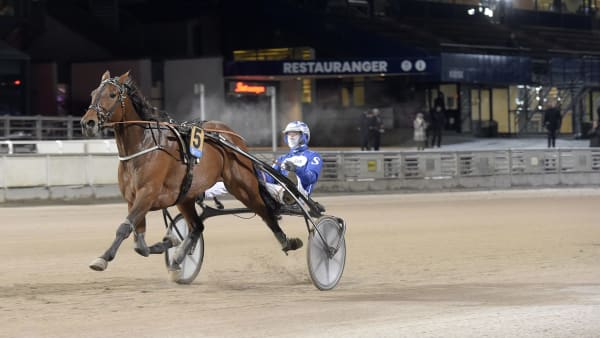 Foto: LARS JAKOBSSON / TR BILD