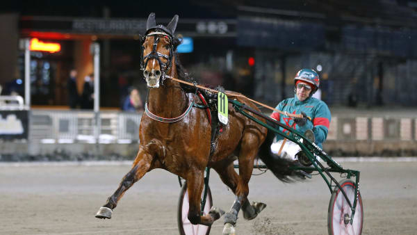 Foto: MARIA HOLMÉN / TR BILD