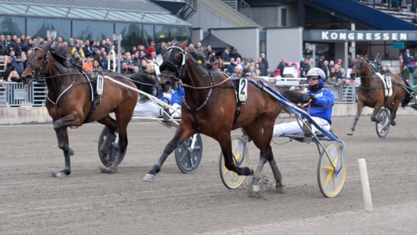 Foto: LEIF NORBERG/ALN