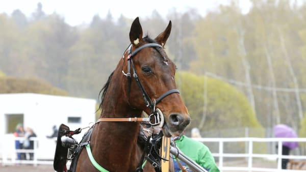 Foto: Maria Holmén/TR Bild