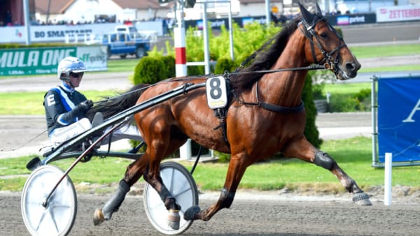 Foto: MARTIN LANGELS/ALN