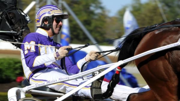 Foto: ADAM STRÖM/STALLTZ.SE