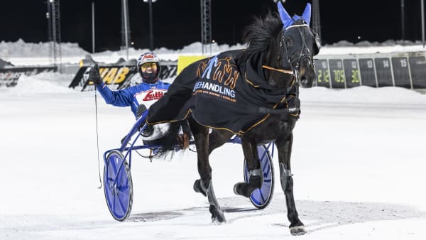 Foto: LENA EMMOTH / TR BILD