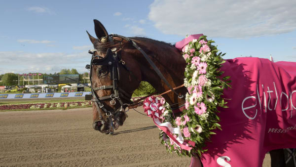 Foto: LARS JAKOBSSON / TR BILD