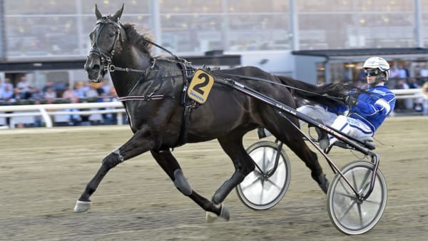 Foto: Lars Jakobsson/TR Bild