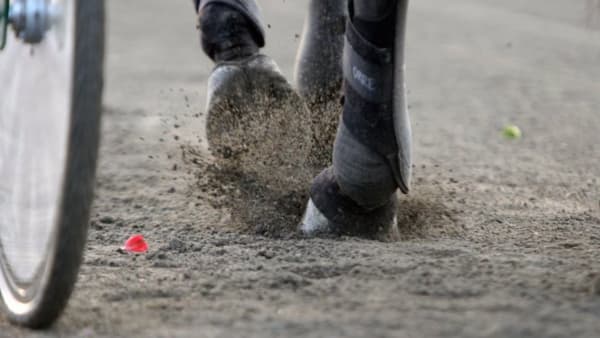 Foto: MIA TÖRNBERG/TR BILD