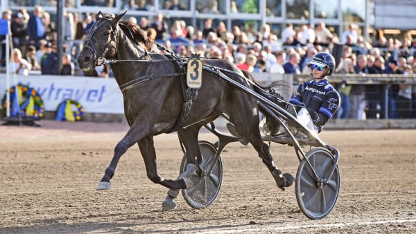 Foto: MALIN ALBINSSON / TR BILD