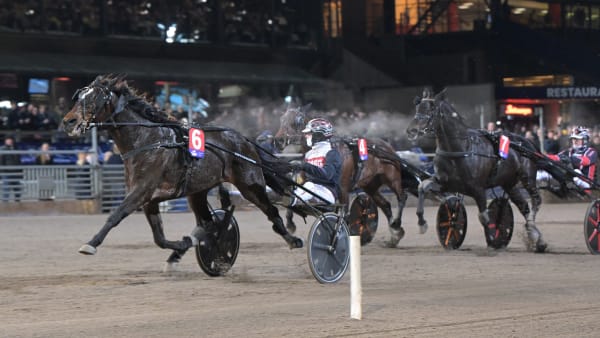 Foto: LARS JAKOBSSON / TR BILD