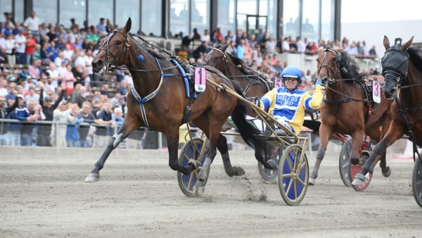 Foto: Malin Albinsson/TR BILD