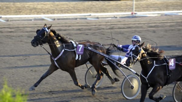 Foto: JÖRGEN TUFVESSON/ALN