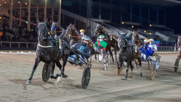 Foto: MIKAEL ROSENQUIST / TR BILD