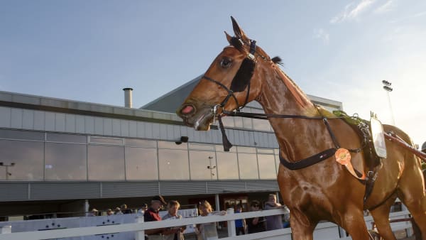 Foto: LARS JAKOBSSON / TR BILD