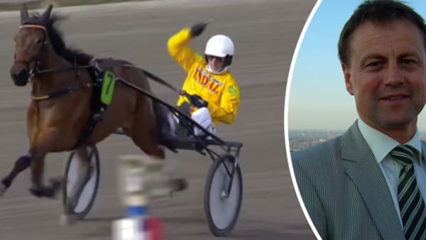 Foto: MONTAGE, ATG LIVE, PRIVAT