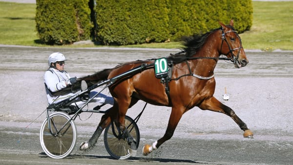 Foto: MARIA HOLMÉN / TR BILD