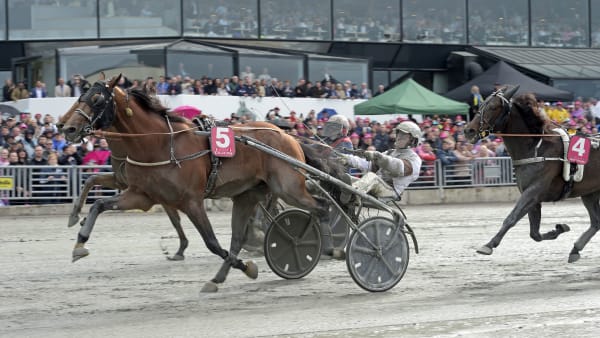 Foto: LARS JAKOBSSON/TR BILD