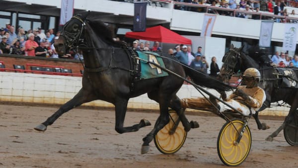 Foto: Adam Ström/StallTZ.se