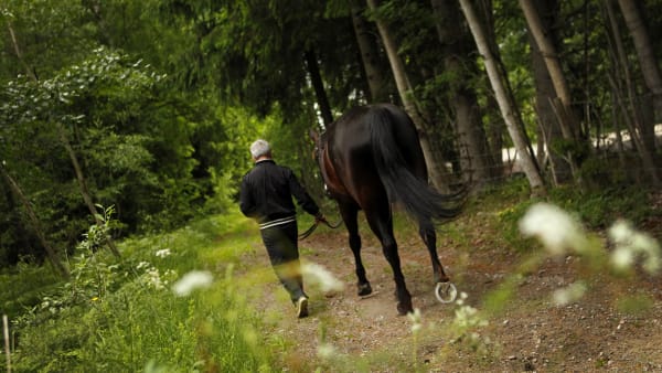 Foto: MARIA HOLMÉN / TR BILD