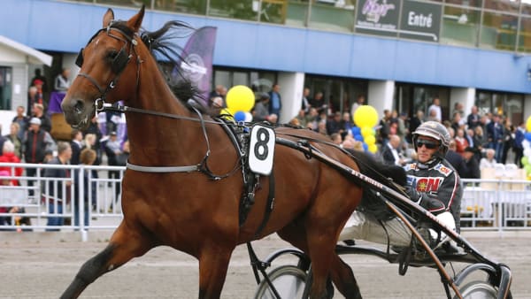 Foto: Maria Holmén/TR Bild