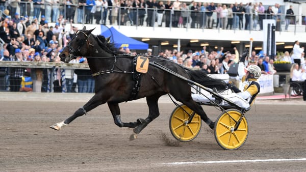 Foto: MALIN ALBINSSON / TR BILD