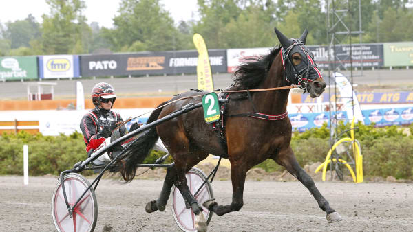 Foto: MARIA HOLMÉN / TR BILD