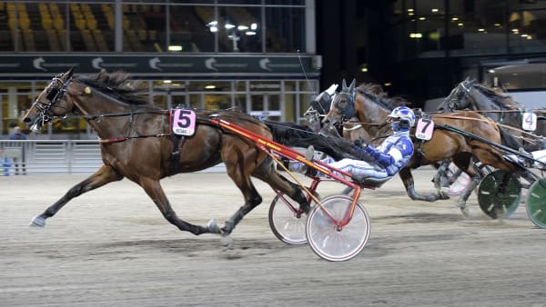 Foto: LARS JAKOBSSON / TR BILD