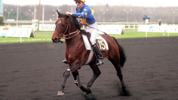 Foto: MARTIN LANGELS / ALN / TR BILD