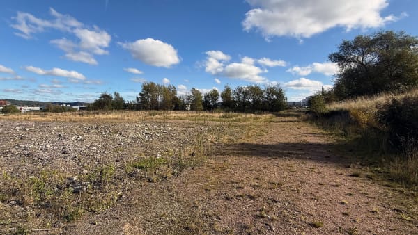 Foto: Rickard Hansson/TR Bild