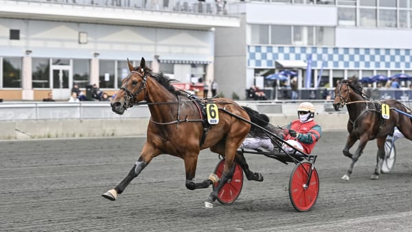 Foto: JENNY REHNMAN / TR BILD