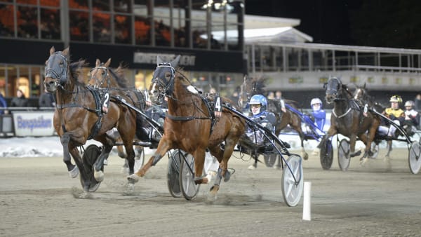 Foto: Christer Norlin/ALN