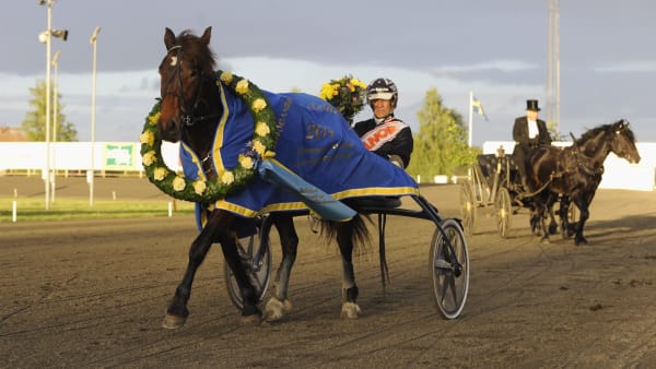 Foto: CHRISTER NORIN/ALN