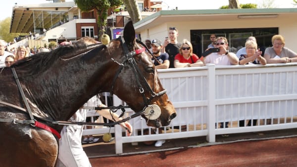 Foto: Thomas Blomqvist/TR Bild