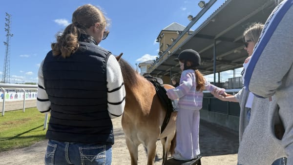 Foto: Rickard Hansson/TR BILDq