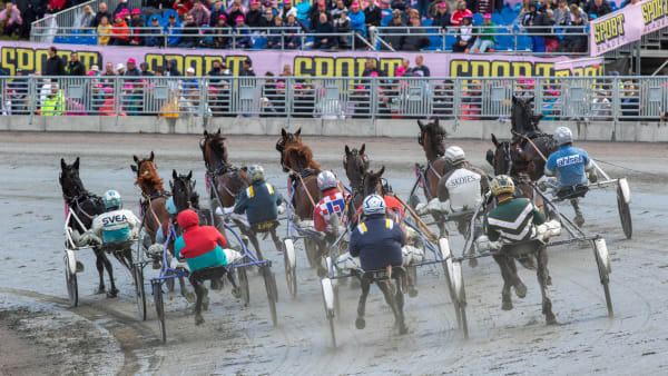 Foto: LENA EMMOTH / TR BILD