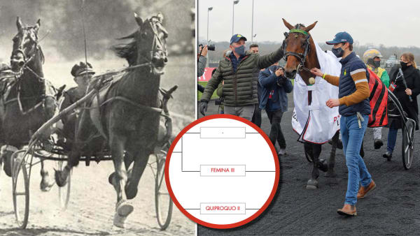 Foto: Foto: HARNESS MUSEUM, JEAN-LUC LAMAÈRE/LE TROT