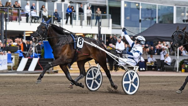 Foto: MALIN ALBINSSON / TR BILD