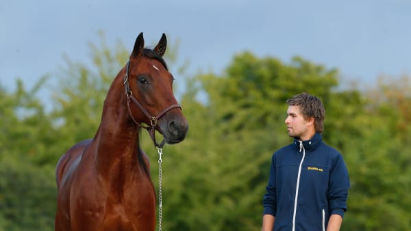 Foto: THOMAS BLOMQVIST / TR BILD