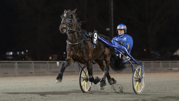 Foto: LENA EMMOTH / TR BILD