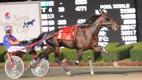 Foto: Stefan Melander/stalltz.se