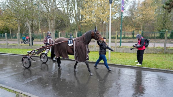 Francesco Zet på Grosbois stallbacke.