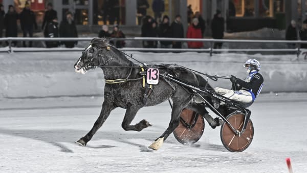 Foto: JENNY REHNMAN / TR BILD