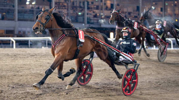 Foto: MIKAEL ROSENQUIST / TR BILD