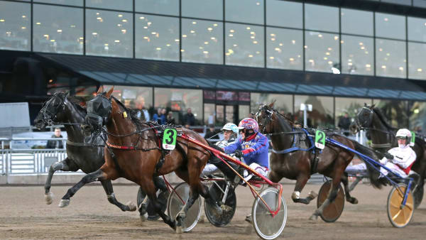 Foto: MARIA HOLMÉN / TR BILD