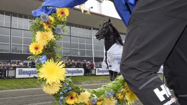 Foto: LARS JAKOBSSON / TR BILD