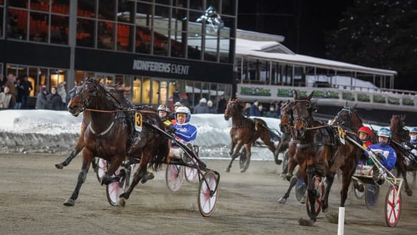 Foto: DAVID SCHREINER / TR BILD