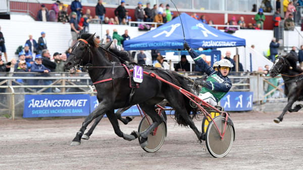 Foto: MALIN ALBINSSON / TR BILD