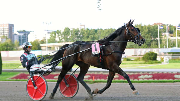 Foto: MARIA HOLMÉN / TR BILD