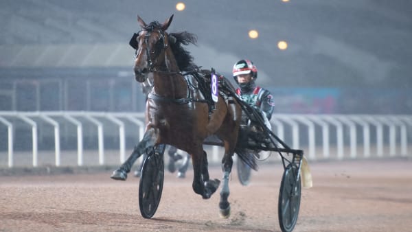 Foto: MIKAEL ROSENQUIST / TR BILD