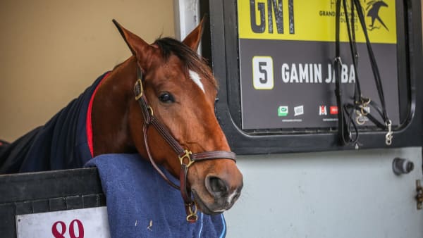 Foto: BRUNO VANDEVELDE/LE TROT