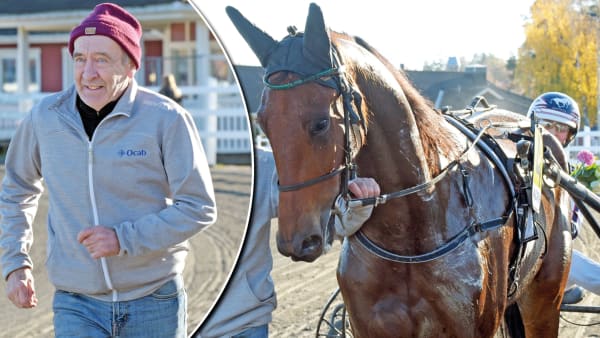 Foto: MONTAGE/MARTIN LANGELS/ALN